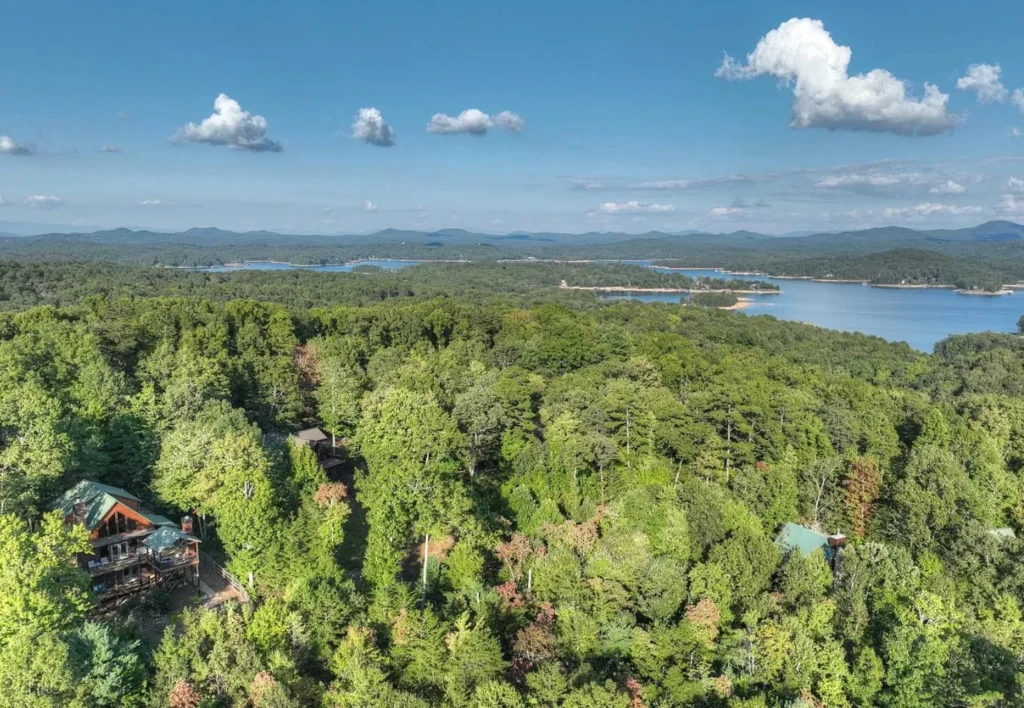 Aerial view of rustic cabin rental in Blue Ridge GA surrounded by forest, mountains and lake views