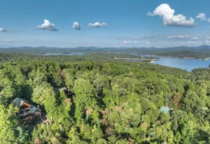 Aerial view of rustic cabin rental in Blue Ridge GA surrounded by forest, mountains and lake views