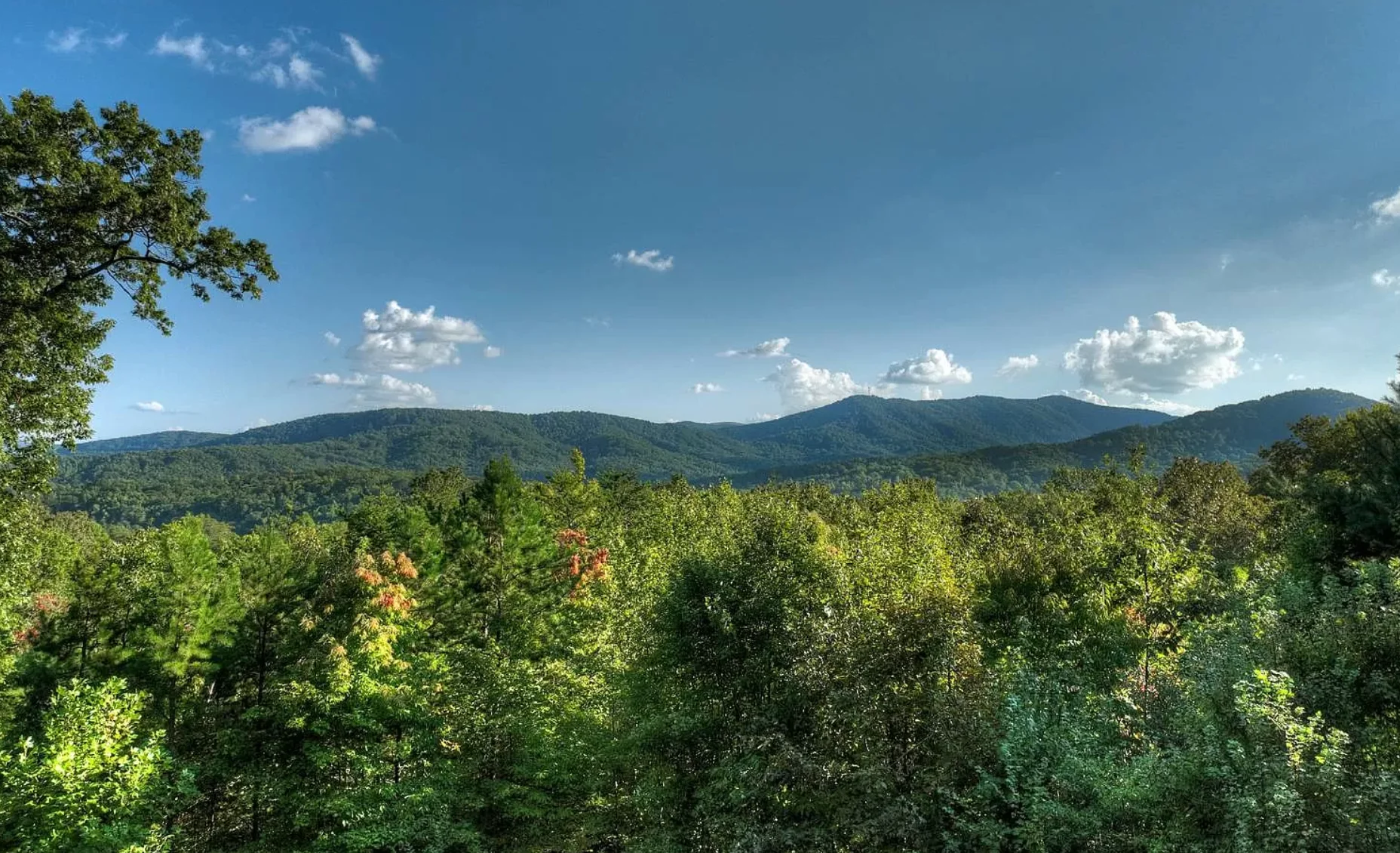 Blue Ridge mountain landscape with lush fall forest and scenic vista in Chalet Blue Ridge
